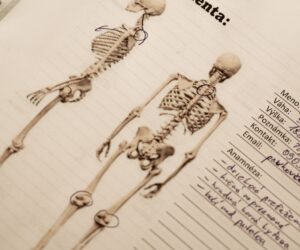 Fyzioterapia, chiropraxia, osteopatia